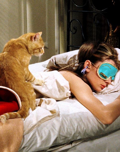 The Art of Sleep